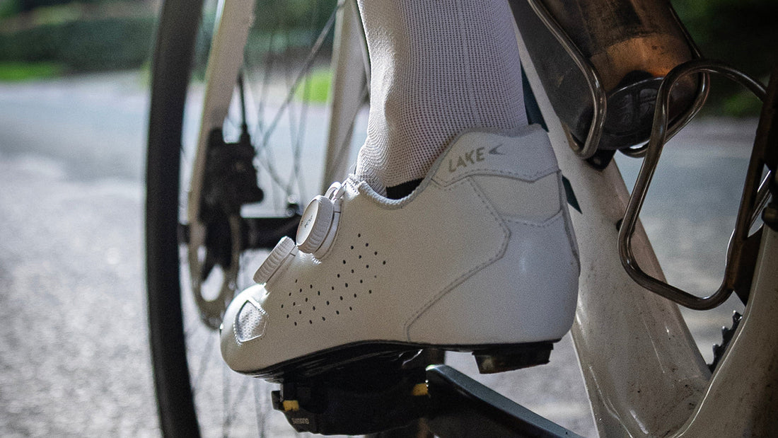 CX239 Blog Header