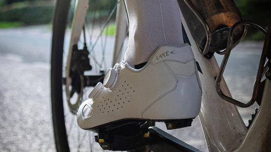 CX239 Blog Header
